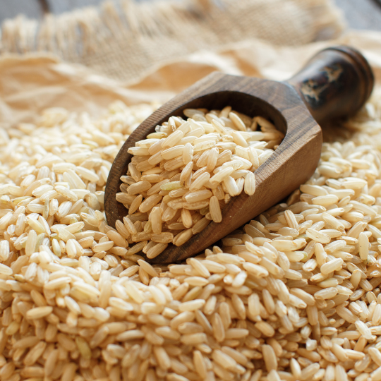 Riz brun biologique à grain moyen